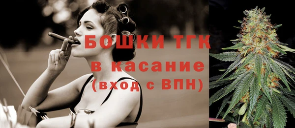 тгк Алексин